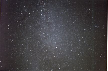 Cygnus