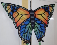 Click for larger image.