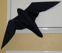 Click for larger image.